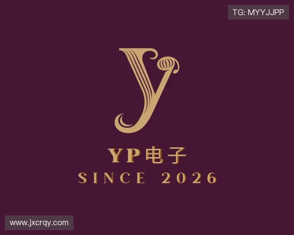 知道YP电子